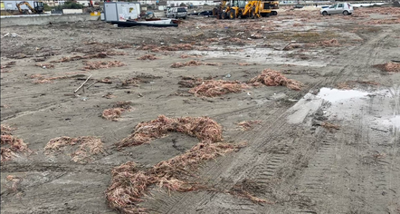 Pas reshjeve, Plazhi i Vjetër në Vlorë mbushet me mbeturina dhe leshterikë