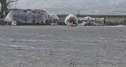 Tërbufi nën ujë. 1200 hektarë të përmbytur, ngardhin bagëtitë