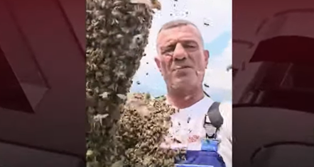 Gjithë trupi me bletë, dibrani tregon marrëdhënien me to dhe rrezikun