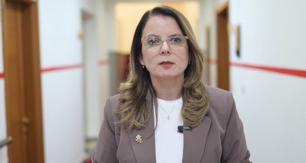 Udhëzuesi i trajtimit hormonal për transgjinorët, Tomini: Orientues, jo protokoll përfundimtar terapeutik
