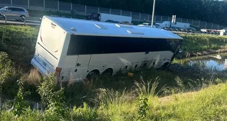 Aksident i rëndë në Virginia, autobusi përplaset me disa automjete, 5 viktima dhe dhjetëra të plagosur