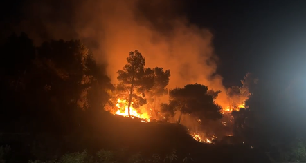 Zjarr në malin e Shëngjinit, flakët po përhapen me shpejtësi