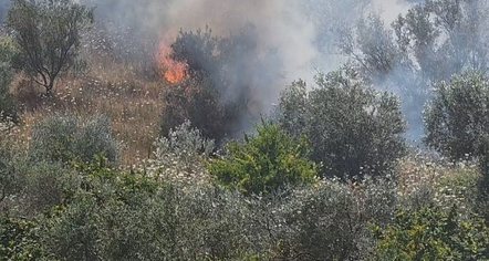 Nis “sezoni” i zjarreve, Haki Çako: Janë menaxhuar 160 vatra, duhet kujdes