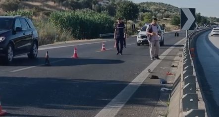Po kalonte autostradën Lushnjë-Rrogozhinë, fuoristrada përplas 75-vjeçaren