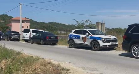 Vrasje me snajper dhe silenciator. Autori priti për një orë i fshehur para se të qëllonte 50-vjeçarin