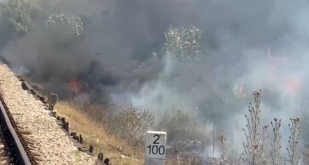 Izolohet zjarri në Novoselë, shmanget rreziku për banesat