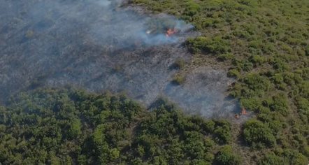 Zjarr në kodrat e Selishtës në Mallakastër, flakët përfshijnë ullishte dhe shkurre