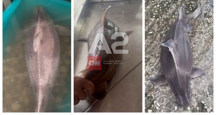 Kapet peshkaqeni ‘Derr’ në Vlorë