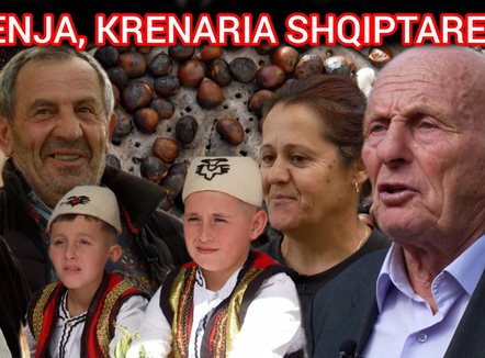 Misteri pas malit të Dajtit! Njihuni me pyllin e shenjtë të gështenjave