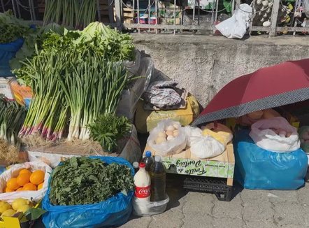 Shqipëria ende nuk e ka fituar besimin e BE për sigurinë ushqimore: Progres i kufizuar nga 2024