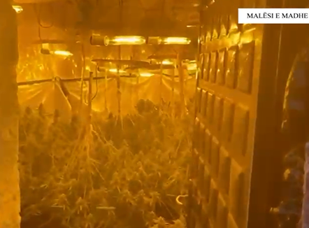 Vila dy katëshe e kthyer në “shtëpi bari” në Malësi të Madhe, arrestohet 22-vjeçari dhe dy punonjës të OSHEE