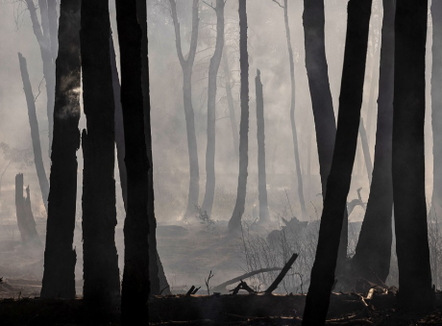 Ukraina akuzon Rusinë për ekocid