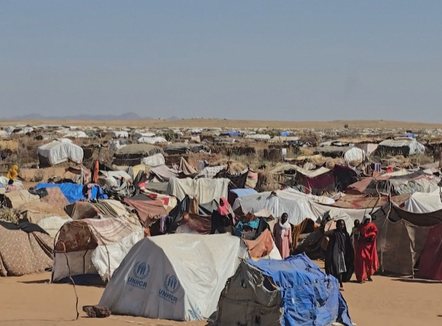 Llogore disa metra të gjata, studiuesit amerikanë zbulojnë varre masive në Sudan