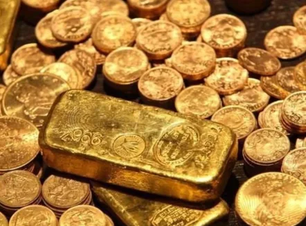 Po gërmonte për një pishinë, gjen thesarin në oborr