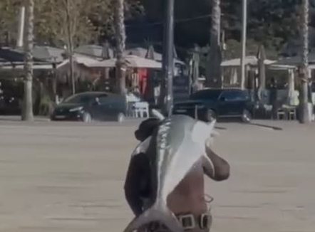 Vlonjati kap peshkaqenin, e merr në krahë dhe e çon në shtëpi