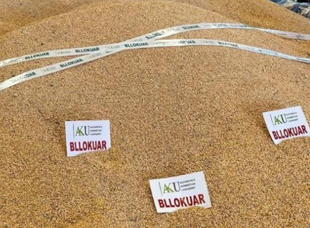 Pas Shkodrës, misër me aflatoksinë nga Serbia bllokohet edhe në Elbasan