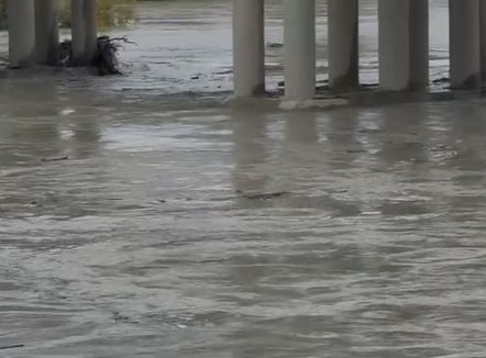 Vjosa rrezikon të dalë nga shtrati në Novoselë, banorët në gatishmëri për t’u evakuuar