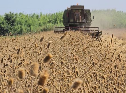 Raporti që paralajmëron! Ndryshimet klimatike po ulin prodhimin bujqësor, rrezikojnë bagëtinë