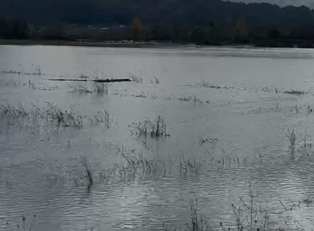 Përmbytje, rrëshqitje dherash e bllokime rrugësh, ja zonat më problematike nga reshjet në vend