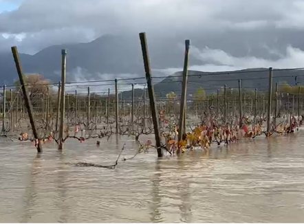 Del nga shtrati liqeni i Viroit, toka e vreshta të përmbytura në qarkun e Gjirokastrës