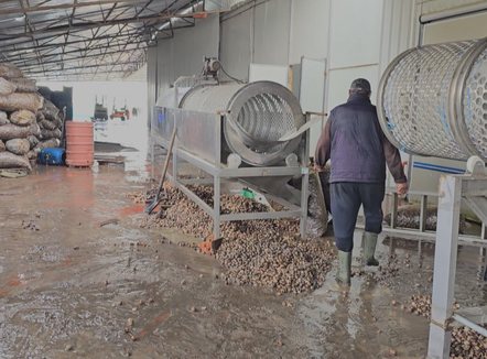 Përmbytjet shkatërrojnë sipërmarrjet në Maliq, kërkohet ndihmë nga shteti