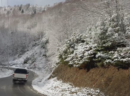 Juglindja zbardhet nga bora, shirat shkaktojnë shembje masive në Qukës–Qafë Plloçë