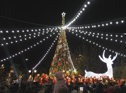 Pemë, drita apo fishekzjarrë? Festat po afrojnë, 