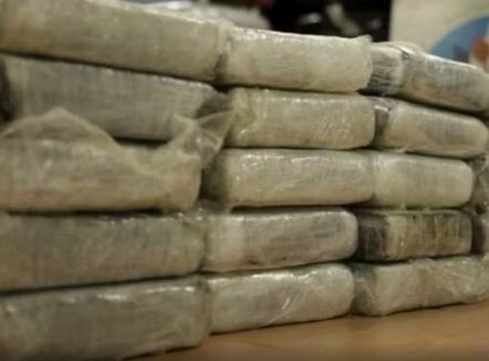 Operacion antidrogë në Siçili, 14 të arrestuar për trafik narkotikësh