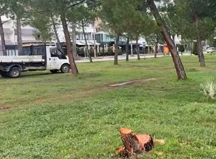 Pritet pisha në mes të natës në Lungomare, policia verifikon kamerat e sigurisë