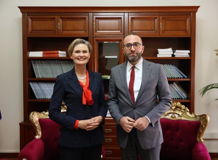 Bardhi takohet me VanHorn: Shqipëria drejtohet nga një qeveri partnere e krimit