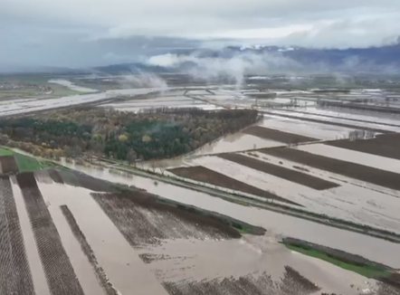 Fermerët e përmbytur, të pashpresë, në Gjirokastër, mbi 200 hektarë të mbjella nën ujë