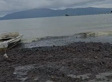 Ndotje masive në bregdetin e Vlorës