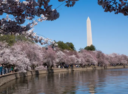 Parqet kombëtare të SHBA shtrenjtohen më shumë për të huajt
