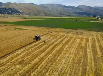 Sa fermerë kanë përfituar në vitin 2025 nga Skema Kombëtare e Mbështetjes në Bujqësi