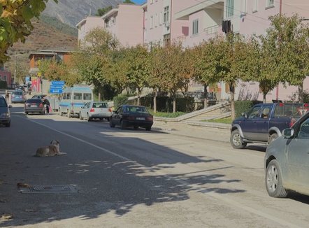 “Këlcyra e dorëzuar”, të mbijetosh me pensione dhe ndihmë ekonomike