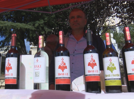 Raki e verë, kultivimi i rrushit, fermerët e Selenicës ruajnë traditën