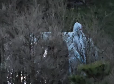 U gjet i pajetë brenda në makinë, identifikohet viktima në Vlorë, ish-polic