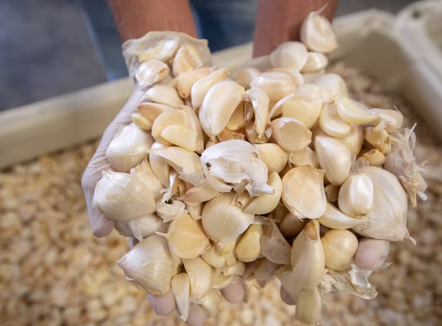 Nga elektronika tek ushqimi, Kosova shpenzoi gati 900 milionë euro për mall kinez