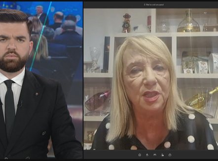 Protesta e 22 Dhjetorit, Adriana Kalaja: Paradë e radhës e Partisë Demokratike