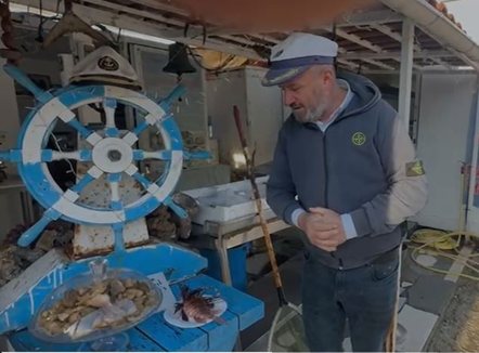 Kapet në Vlorë peshku i rrezikshëm 