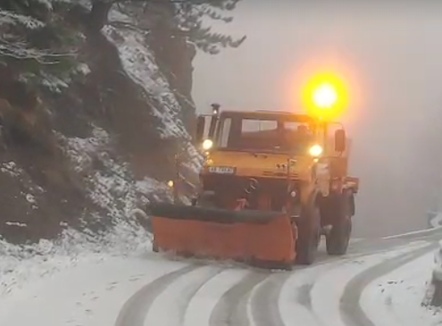 Rikthehen reshjet e dëborës në Dardhë