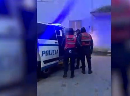 Në kërkim për kultivim kanabisi, arrestohet 35-vjeçari