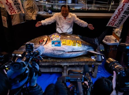 3,2 milionë $ për një peshk