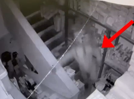 Arrestohen dy autorët e një serie vjedhjesh brenda 24 orësh në Tiranë e Krujë