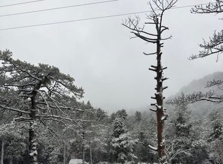 Borë dhe ngrica në Qafën e Llogarasë, bllokohet qarkullimi