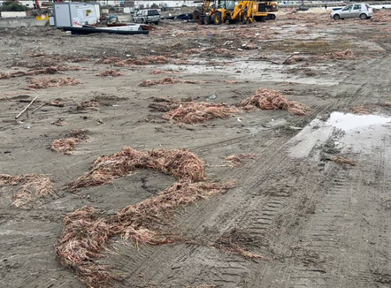 Pas reshjeve, Plazhi i Vjetër në Vlorë mbushet me mbeturina dhe leshterikë