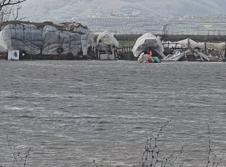 Tërbufi nën ujë. 1200 hektarë të përmbytur, ngardhin bagëtitë