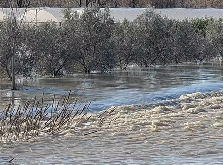 Semani del nga shtrati në Lushnje, fshati nën ujë 