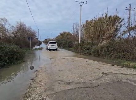 Barinjtë nuk pranojnë të evakuohen, duan të qëndrojnë me lopët në zonën e përmbytur