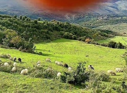 Gjendet i pajetë në një stan 56-vjeçari në Dhëmblan të Tepelenës